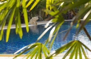 63_Thai_Villa_Rental_Pattaya_pool_elephant 